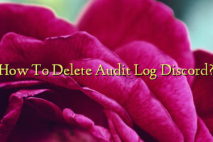 How To Delete Audit Log Discord?