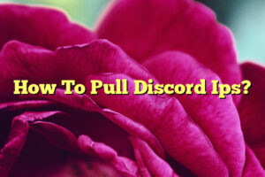 How To Pull Discord Ips?