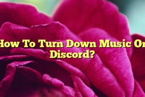 How To Turn Down Music On Discord?