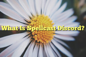 What Is Spellcast Discord?