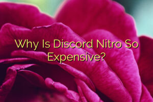 Why Is Discord Nitro So Expensive?